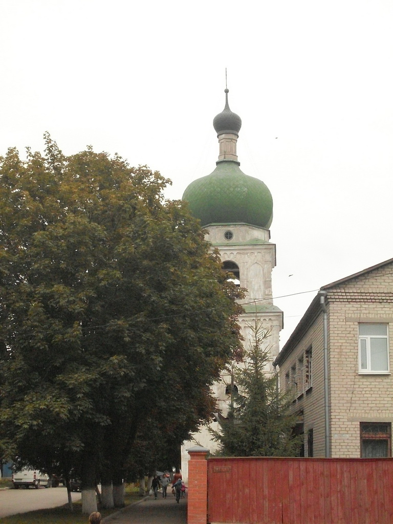 SDC19278.JPG