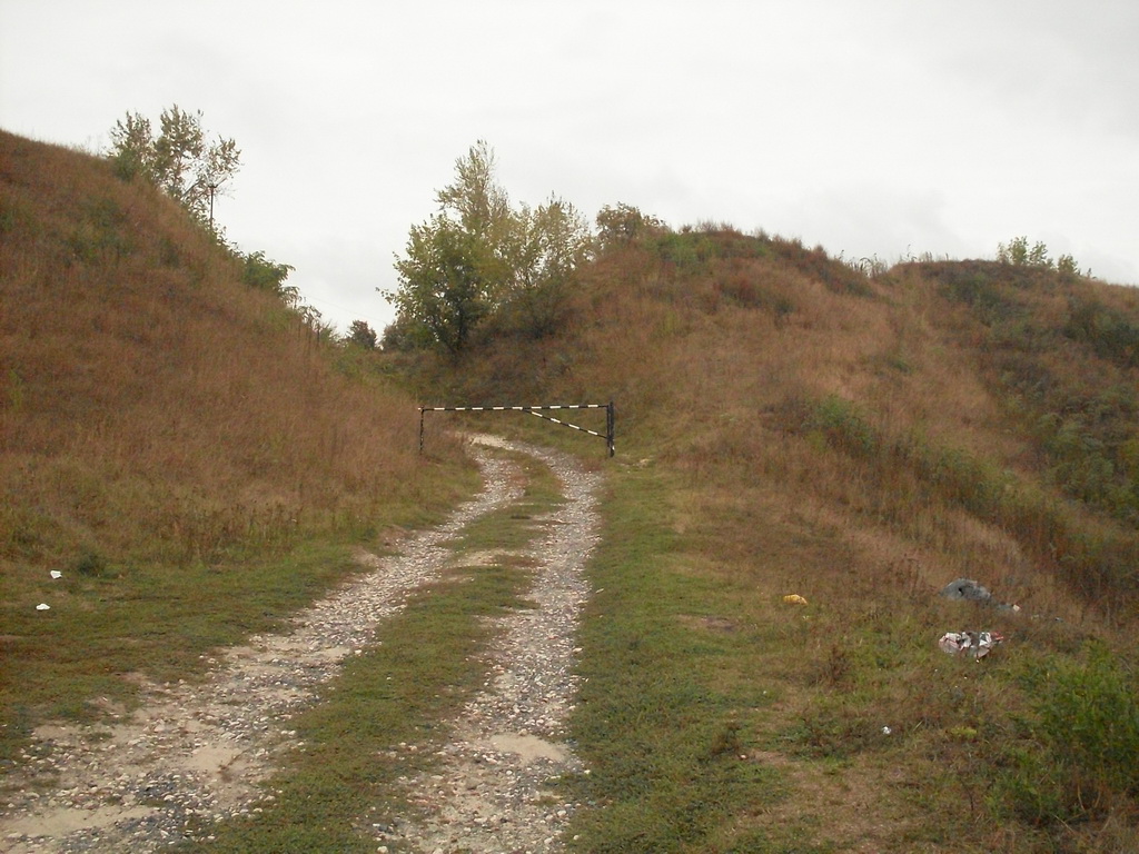 SDC19324.JPG