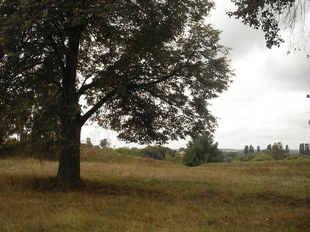 SDC19345.JPG
