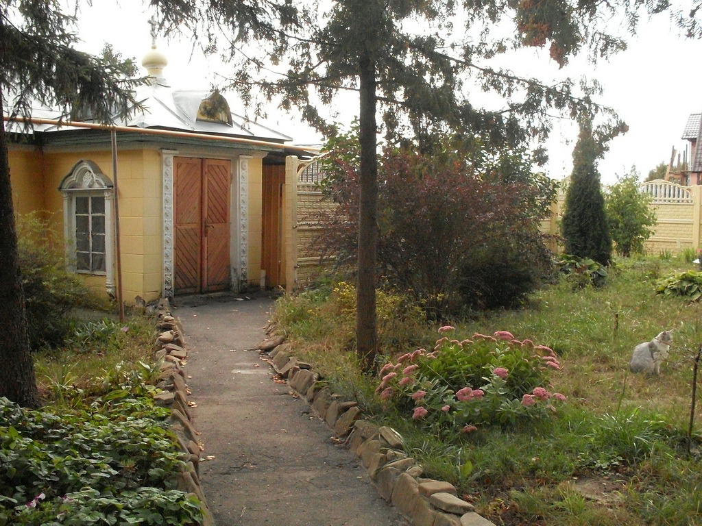 SDC19368.JPG
