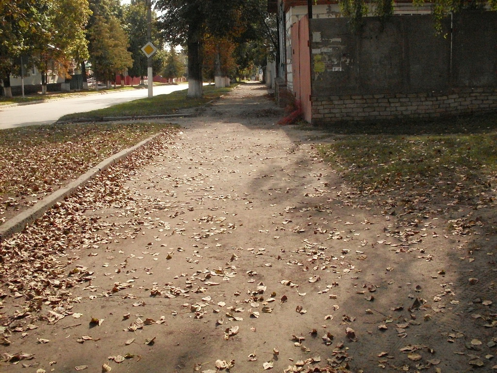 SDC19396.JPG