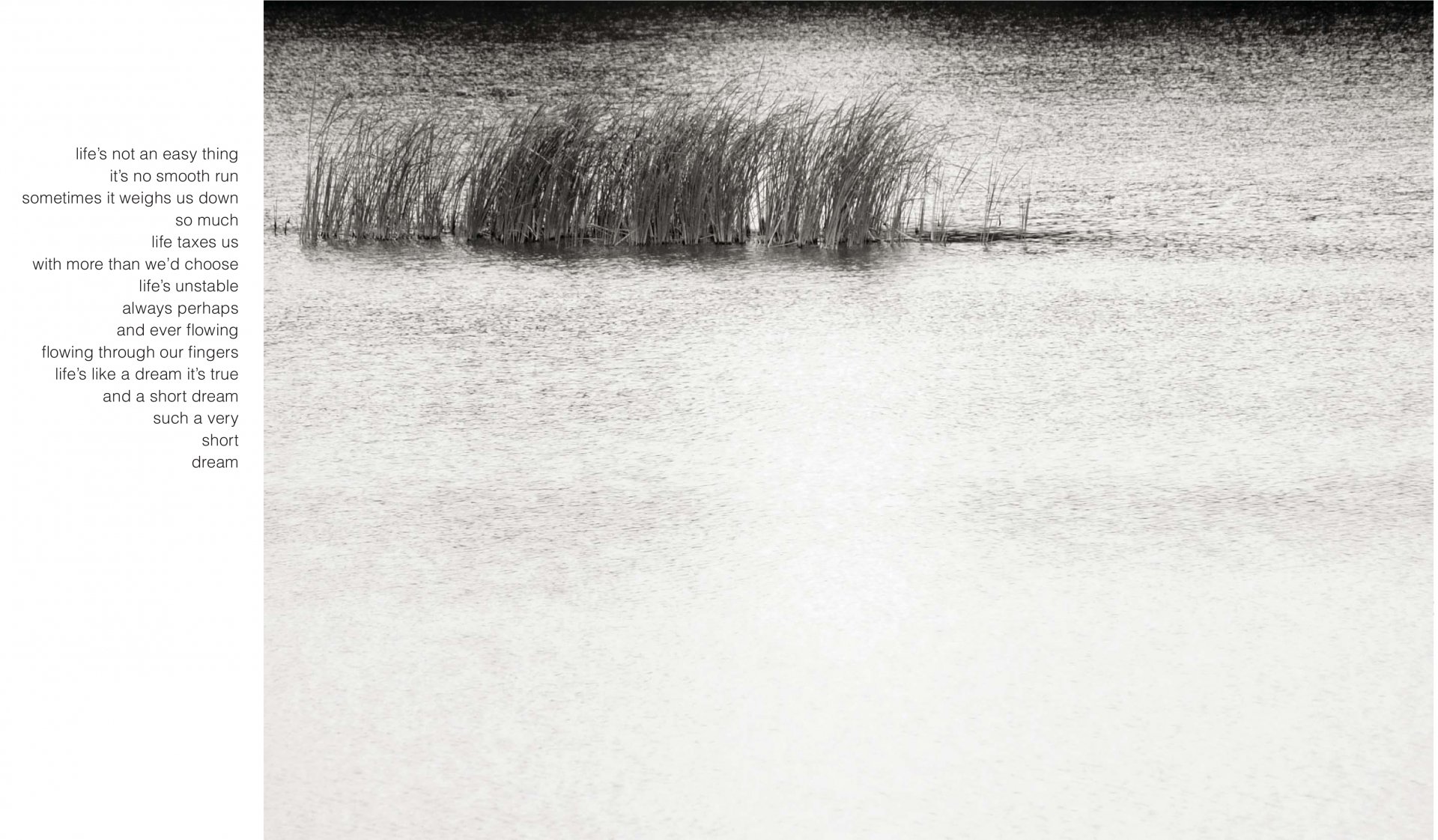 Seen in Their True Light (2012-05)_011.jpg