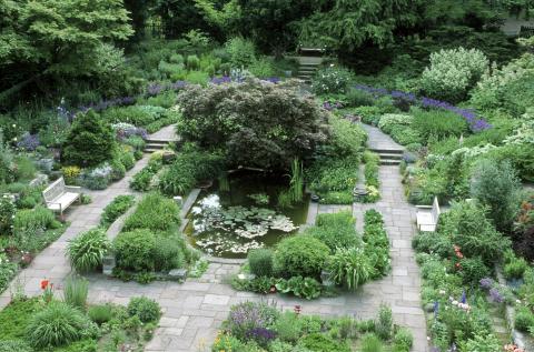 senkgarten-foerster-00743447-florapress.jpg