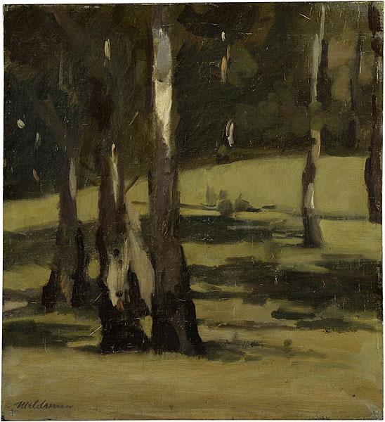 shadows-landscape-with-trees-1925.jpg!Large.jpg