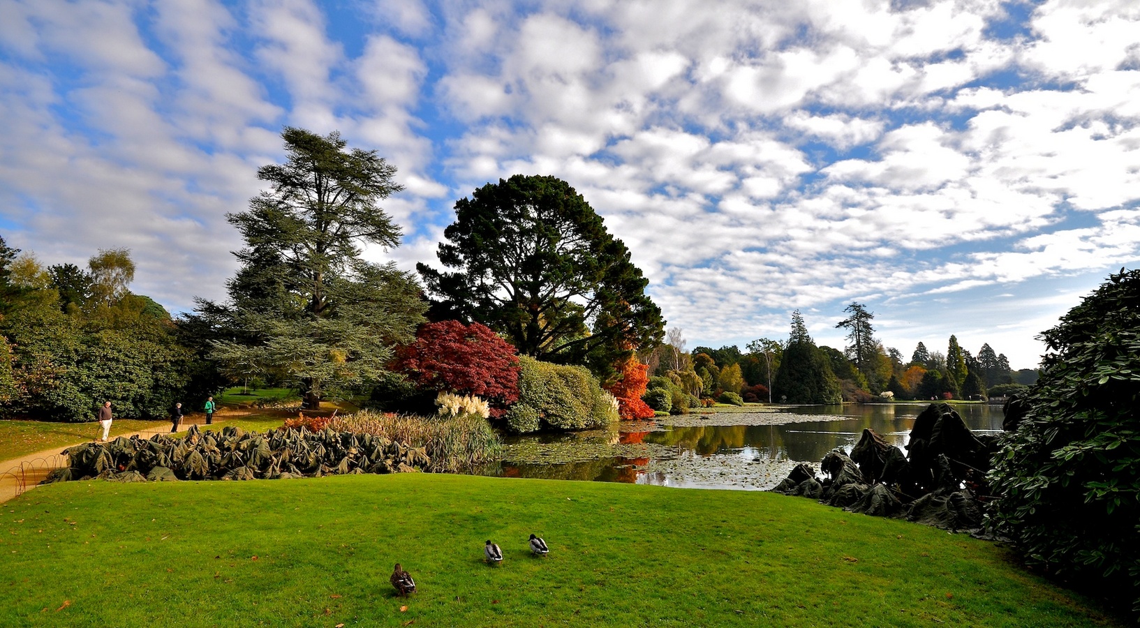 Sheffield_Park_&_Garden_22-10-2010_(5119888923).jpg