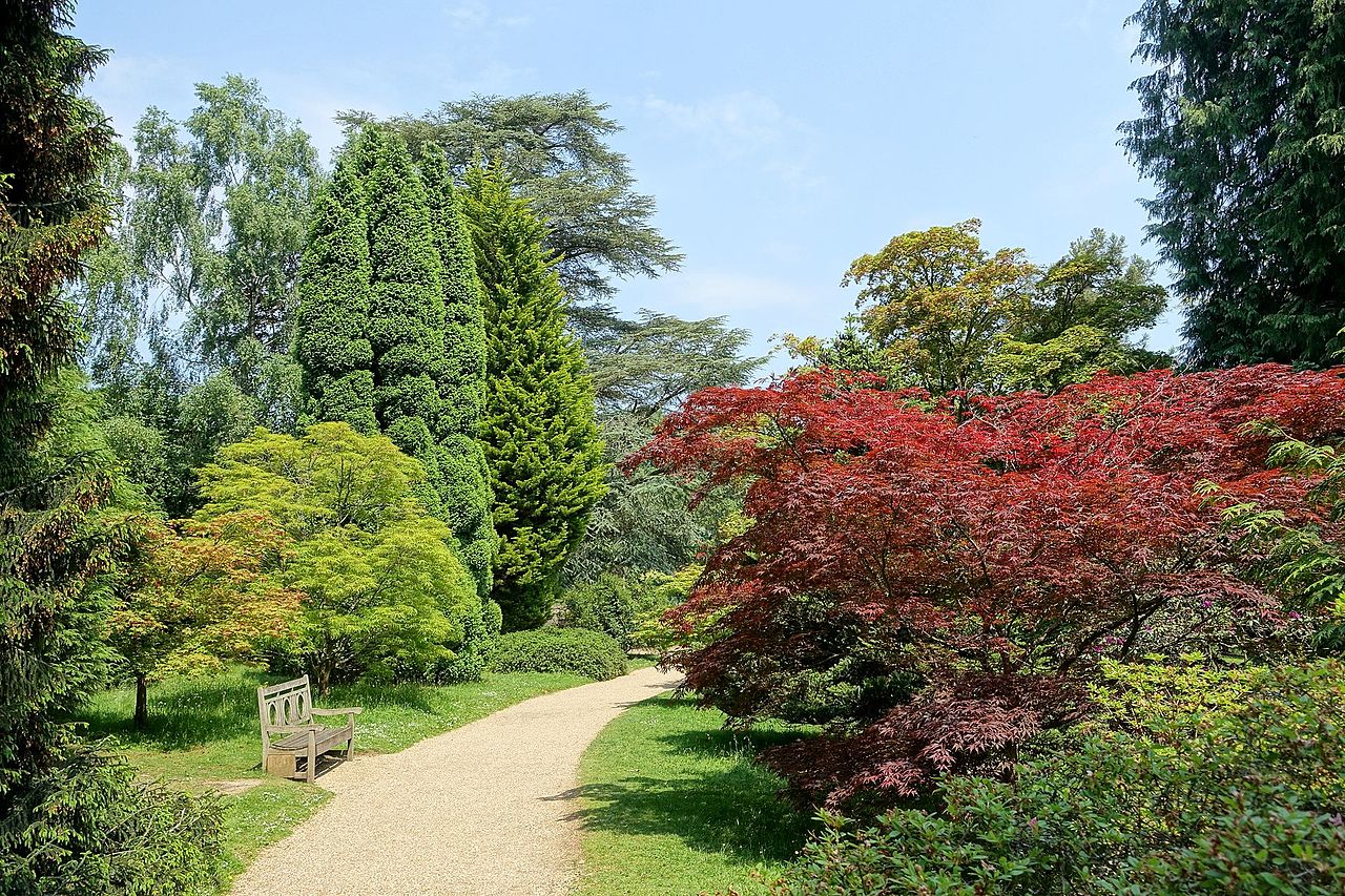 Sheffield_Park_and_Garden_-_East_Sussex,_England_-_DSC05737.jpg