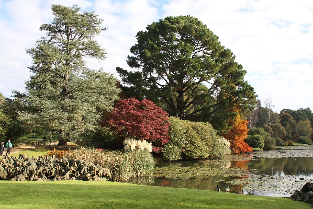 Sheffield_Park_and_Gardens-5106132674.jpg