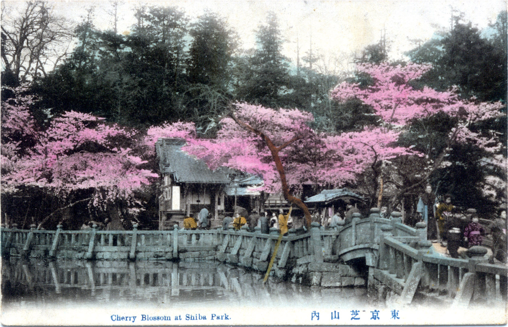 shiba-park-blossoms-pond-300.jpg