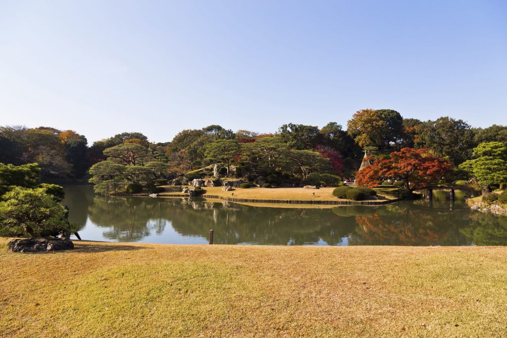 Shinjuku-Gyoen-during-Autumn--1024x683.jpg