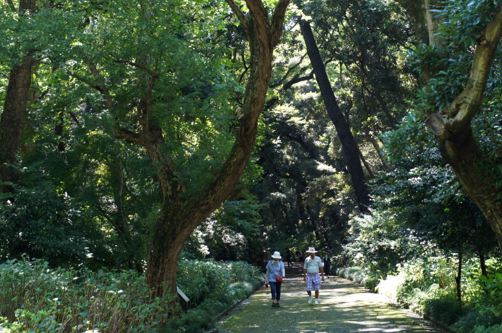 Shinjuku-Gyoen-National-Garden-Walking-Trail-1024x680.jpg