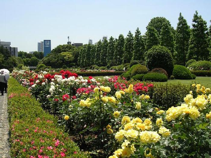 shinjukugoen3.jpg