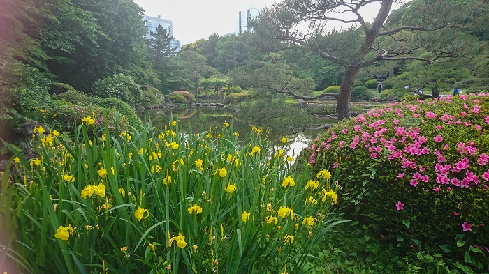 shinjukugyoen06.jpg