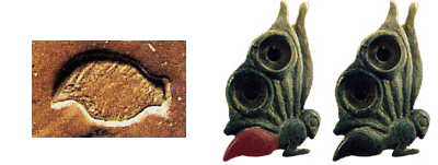 Signe_20_papillon_Zakros.png