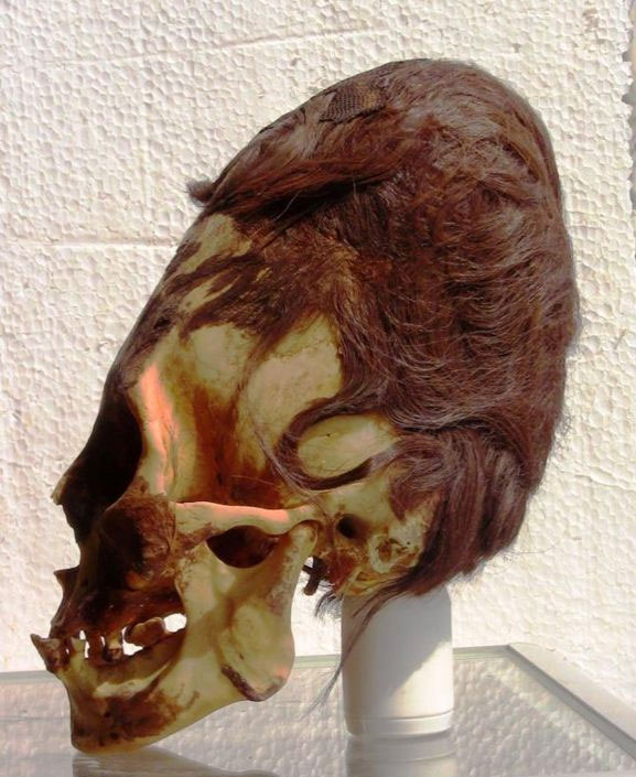 skull-paracas.jpg