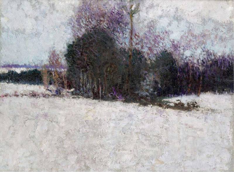 Snowy Landscape.jpeg