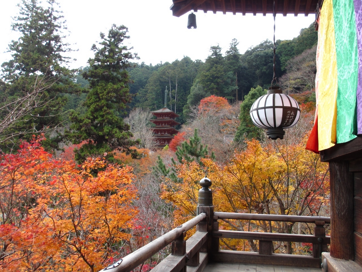 src_10731171.jpg