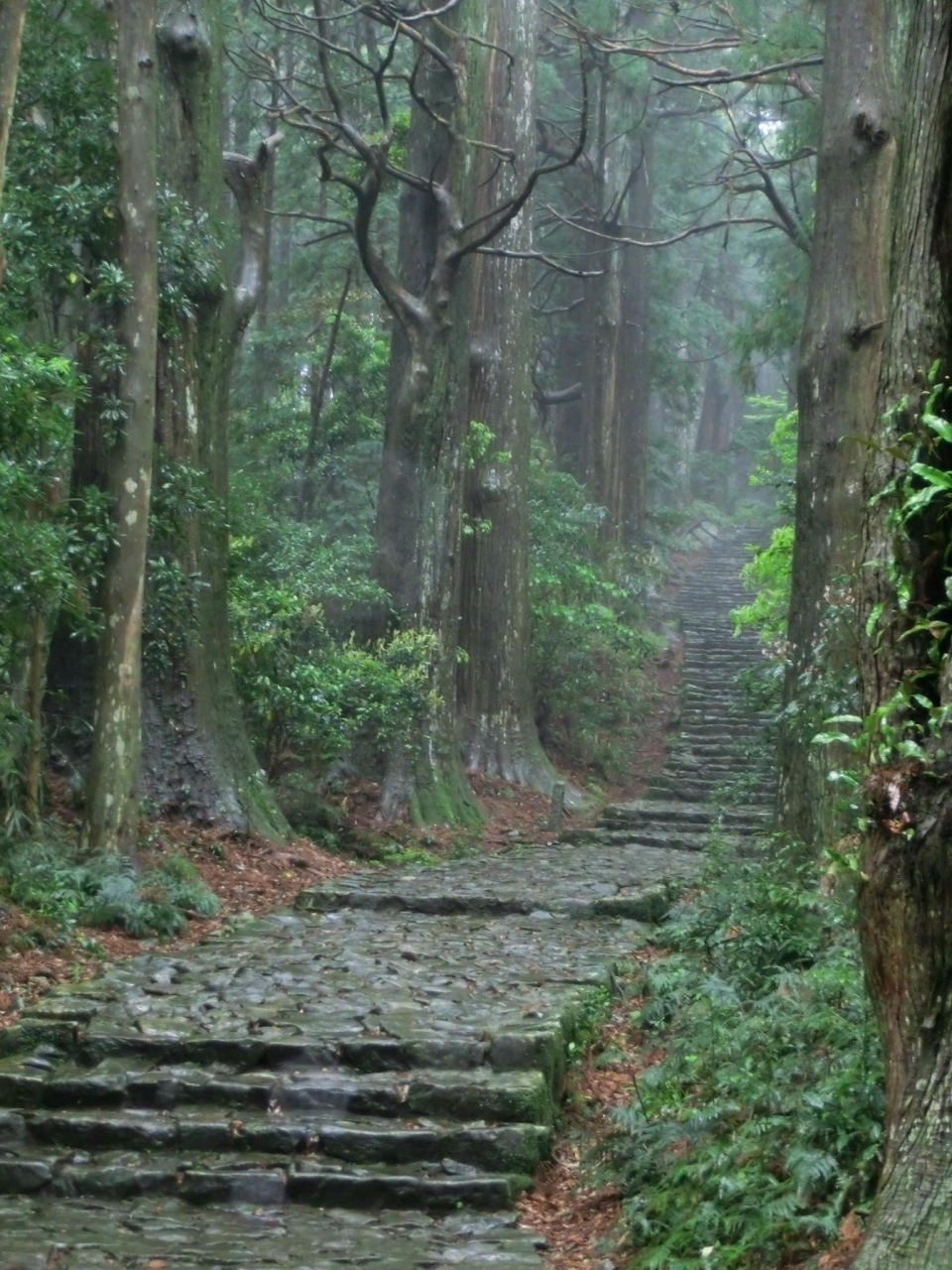 src_10899985.jpg