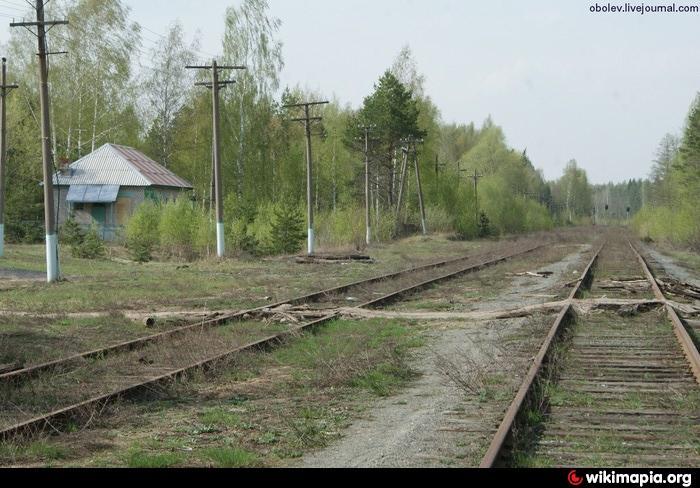 stanciya-bor-1.jpg