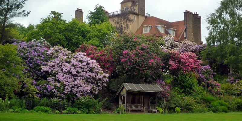 Standen-Garden.jpg