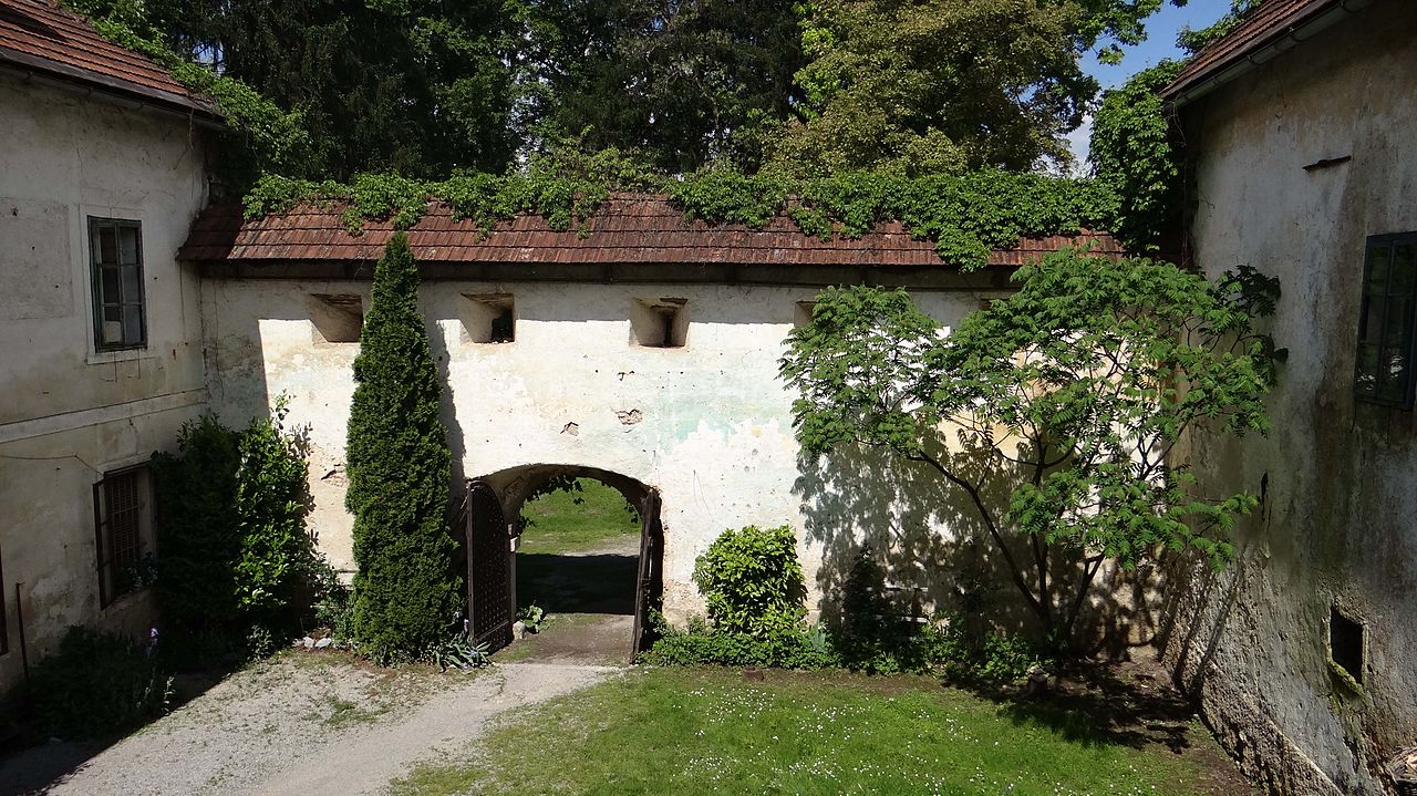 Struga_VII._2013.JPG