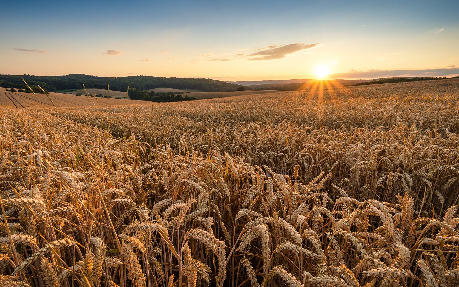 Sunrises_and_sunsets_Sky_492050_2560x1600.jpg