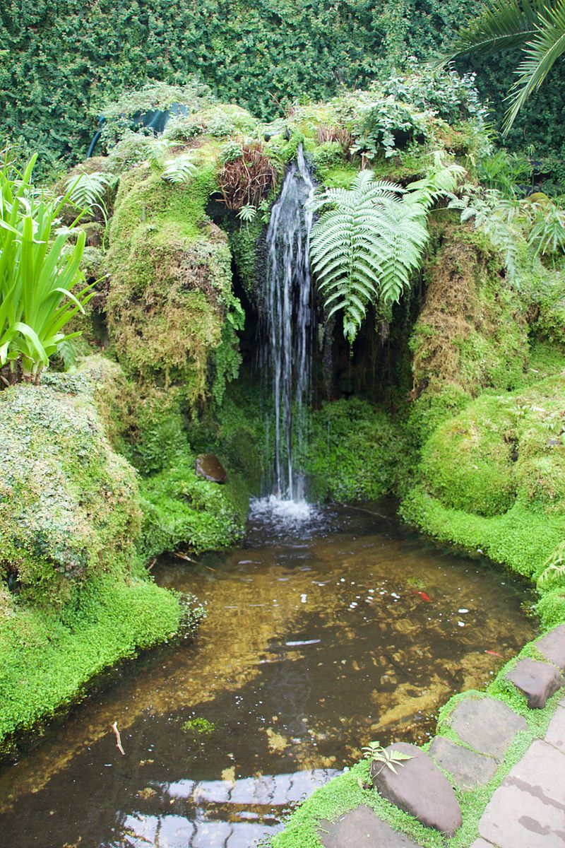 Tatton_Park_2015_35_-_Fernery.jpg