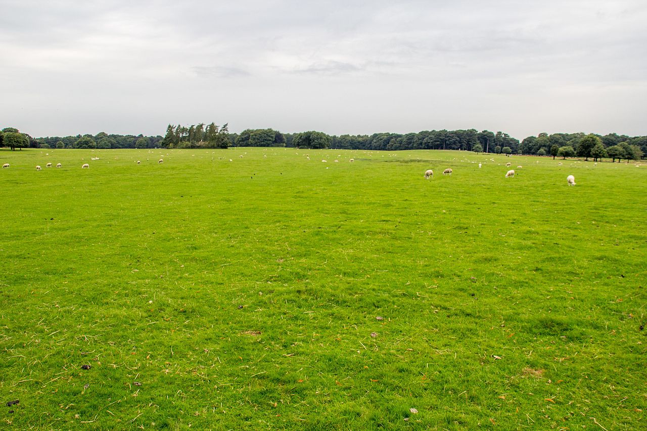 Tatton_Park_2016_223.jpg