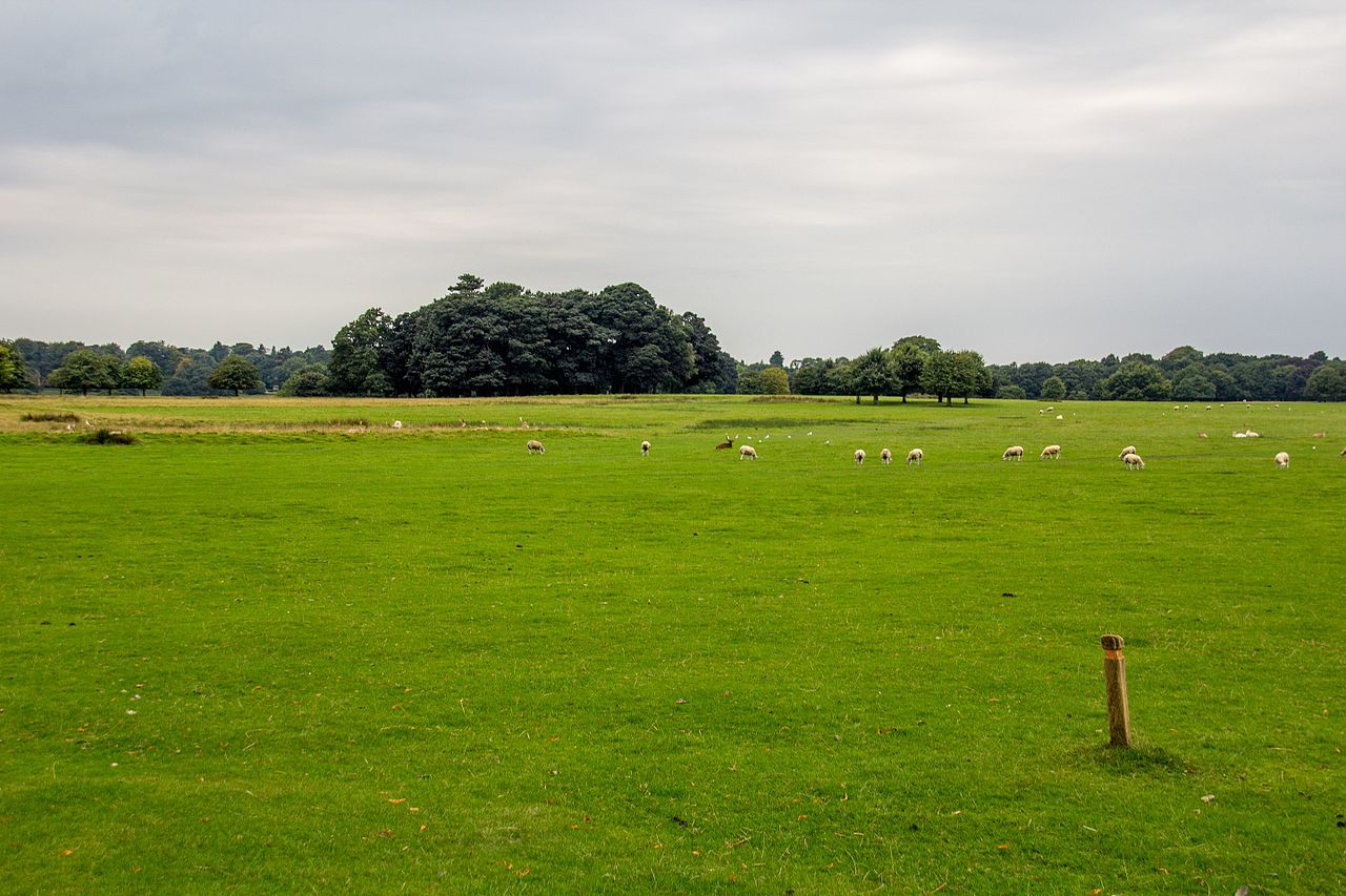 Tatton_Park_2016_226.jpg