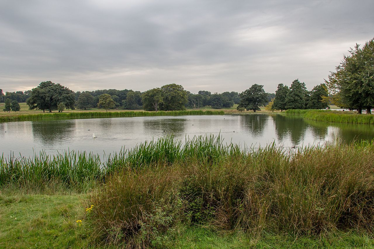 Tatton_Park_2016_227.jpg
