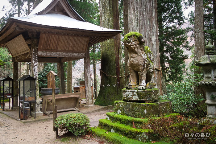 temple-sanbutsu-ji-misasa-arbres-mousse-statues.jpg