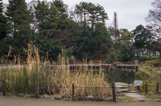 tetsugakudo-park.jpg