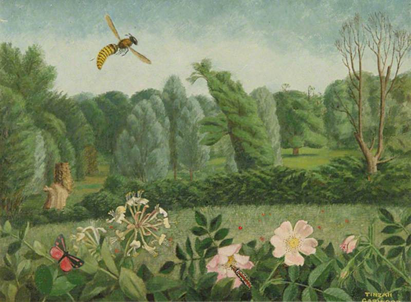 tg hornet and wild rose towner.jpg