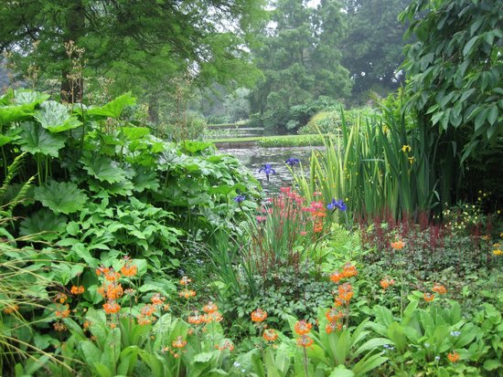 the-beth-chatto-gardens.jpg