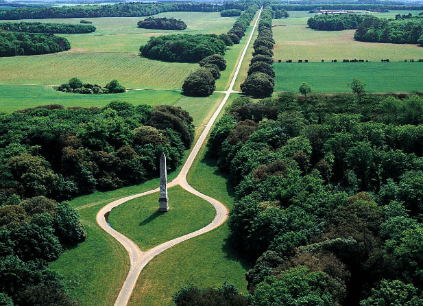 the-estate-1 (1).jpg