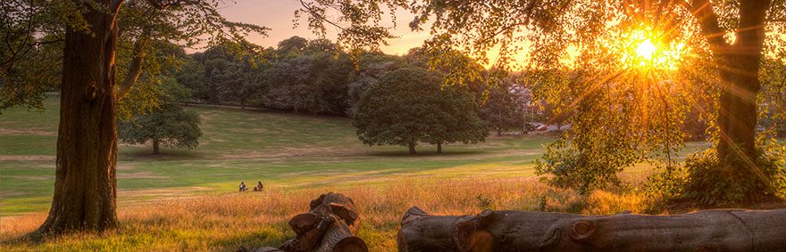 The-Last-Rays-of-Sun-credit-Simon-Lea-880x283.jpg