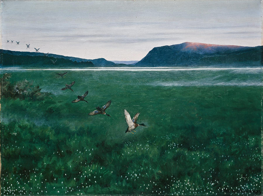the-twelwe-wild-ducks-theodor-kittelsen.jpg