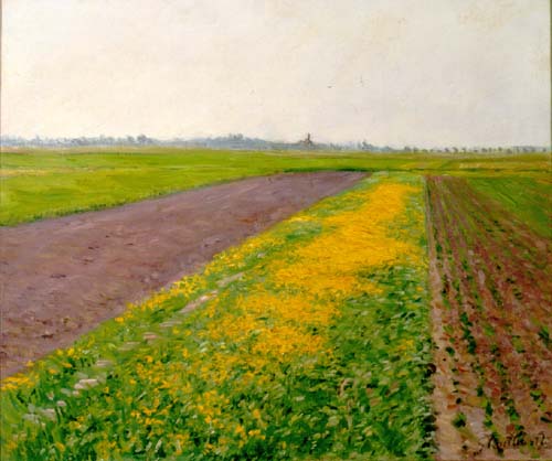 The Yellow Fields at Gennevilliers, 1884.jpg