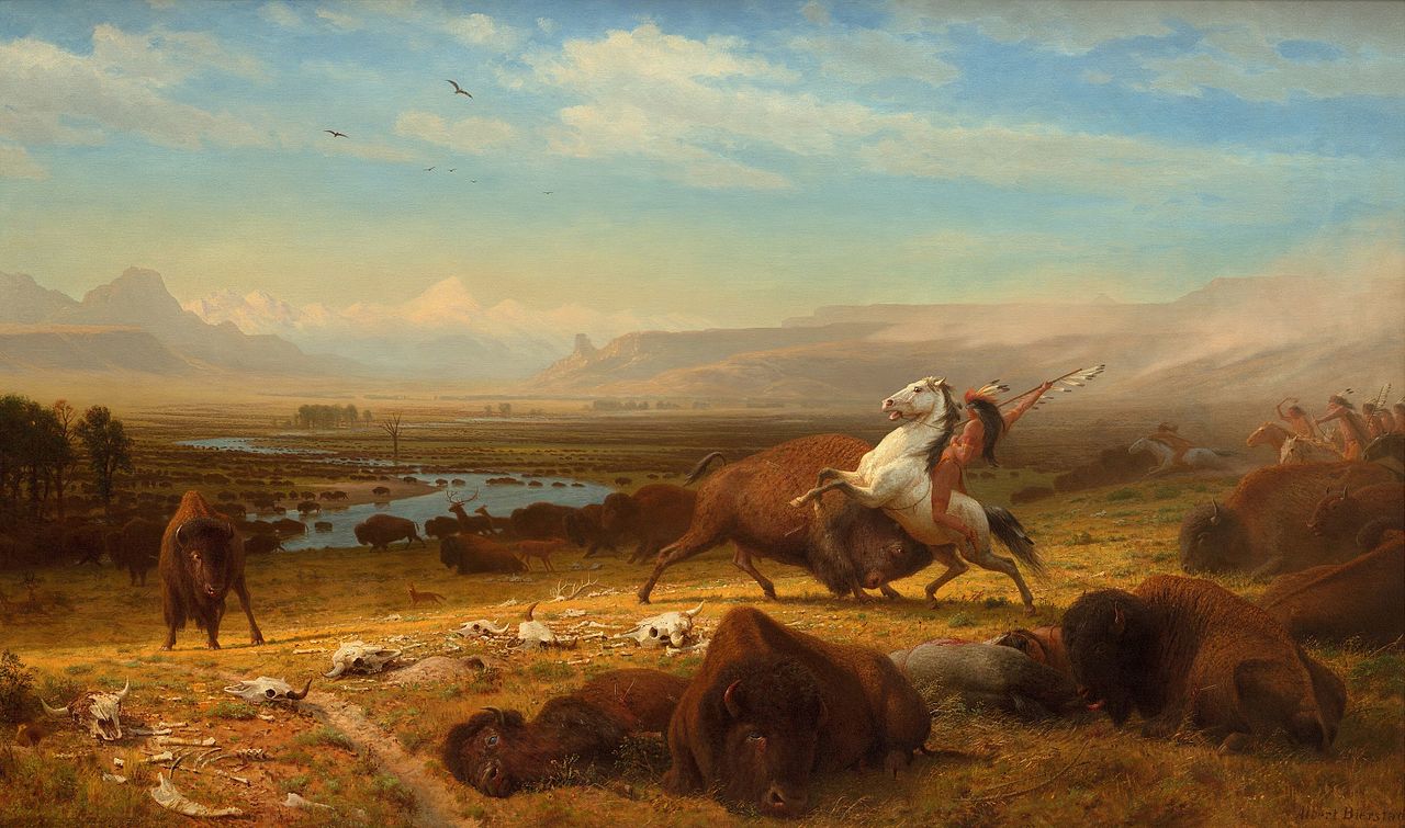 The_Last_of_the_Buffalo.jpg
