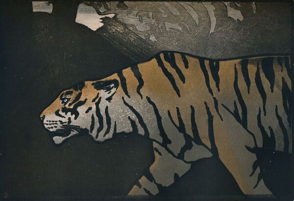 tiger-c1900-artist-john-dickson-batten-14929327.jpg