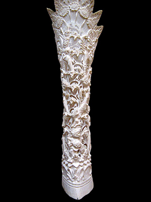 TOBO-00157.jpg