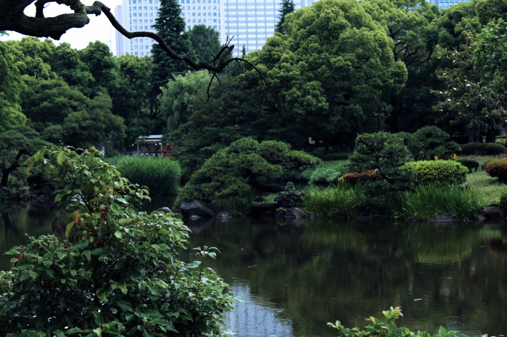 tokyo-hibiya-park0-37686.jpg