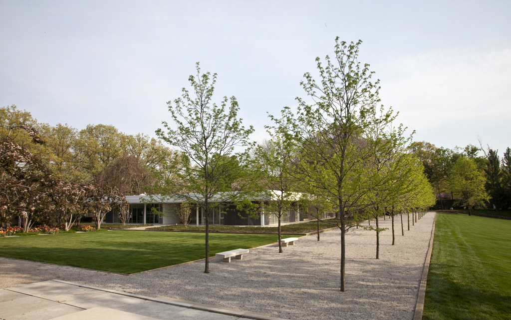 tree-allee.jpg