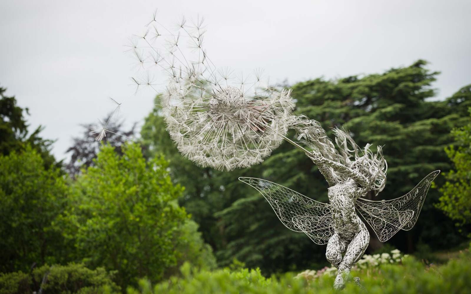 trentham-dances-with-dandelions.jpg
