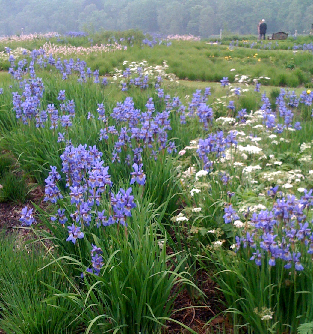 trentham_gardens_2010_original.jpg