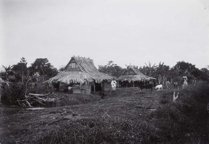 Tropenmuseum_Royal_Tropical_Institute_Objectnumber.jpg