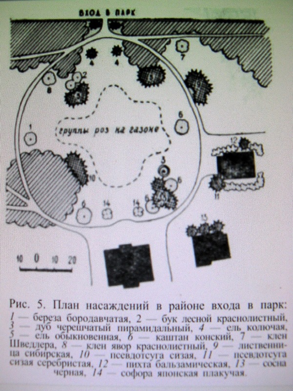 tsaul_old_plan.jpg