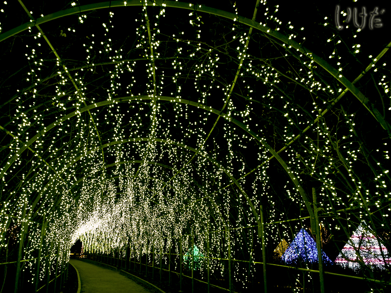 tunnel_x800.jpg
