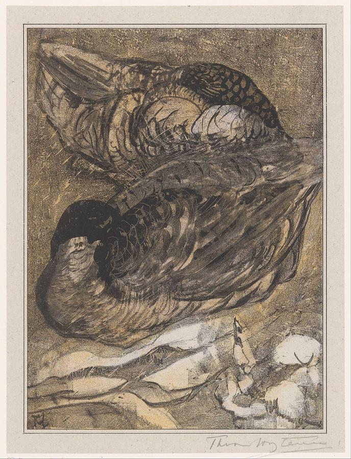 two-sleeping-ducks-theo-van-hoytema-1878-1909-theo-van-hoytema.jpg
