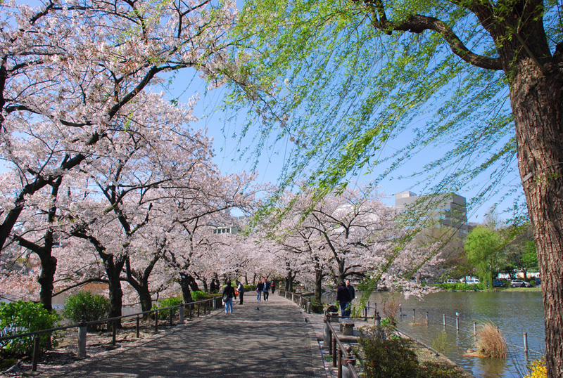 ueno-park-tokyo.jpg