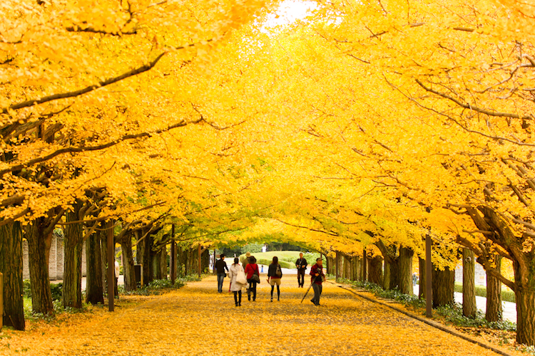 Ueno Parktachikawa-72991.jpg
